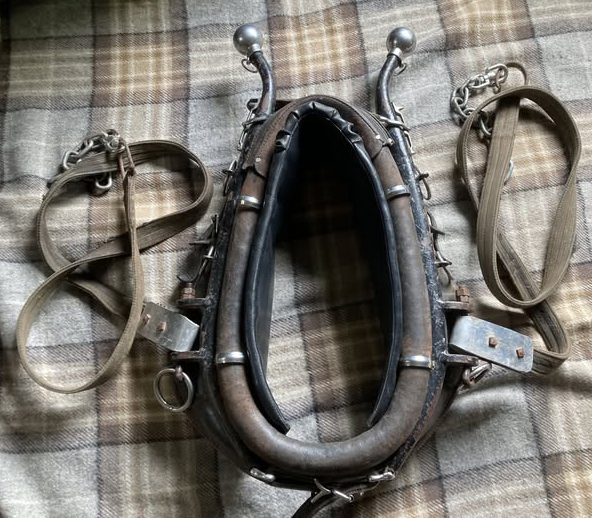 Horse collar